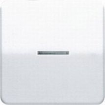 Jung - 1 parte Placca di copertura Interruttore di controllo, Pulsante di controllo Bianco alpino CD590KO5WW 1 pz.