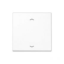 Jung - LS170 0PWW bouton 1T store aws glz flèches icône flèches LS1700PWW