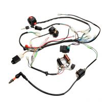 Junjun - Kit complet de Stator cdi de faisceau de câblage électrique pour atv quad 150/200/250CC