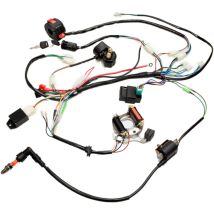 Kit Complet De Stator Cdi De Faisceau De Câblage Électrique Pour Atv Quad 150/200/250cc Junjun