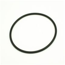 Guarnizione coperchio per pompa Koral Kripsol e TT Fiberpool