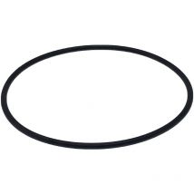 Guarnizione Coperchio Prefiltro Pompa Starpool 07302.