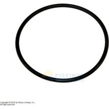 Joint torique couvercle préfiltre pompe Kripsol Ondina OK