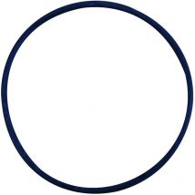 Junta Tórica De Montaje Para Filtro Cintropur Nw800