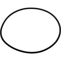 O-ring coperchio filtro Espa Vari modelli).