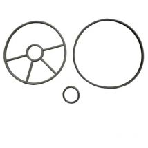 1 1/2' Wahlventildichtungen. Astralpool 4404121105.