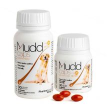 Kð - nig mudd caps (90 kaps)