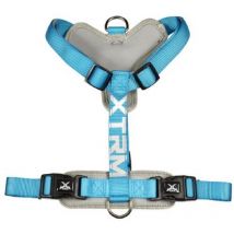 Arnes x-trm cronos neon flashblau 25 mm x 60-100 cm