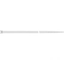 Kabelbinder Nylon natur 140x3,5mm a100Stück SapiSelco
