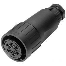 Amphenol - C016 10E012 003 2 Rundstecker Kupplung, gerade Gesamtpolzahl: 12 + pe Serie (Rundsteckverbi