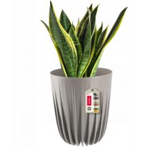 Cache-Pot Eco + Insert Gris 30x36cm - Kadax