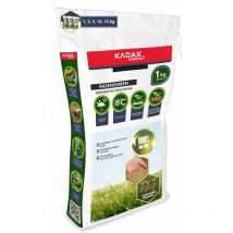Gazon Ornemental Auto-épaississant 1 kg - Kadax