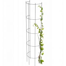 Pérgola de Jardín Soporte Metálico para Flores Rosas Plantas Columna 150cm - Kadax