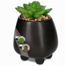 Plante à fleurs artificielles décorative succulente 10,5 cm - Kadax