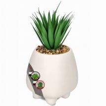 Plante Artificielle Fleur Succulente Décorative 10,5 cm - Kadax