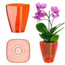Pot de fleurs, mince et simple pour orchidée, marguerite, pour cuisine et salon, diamètre 9 cm, rectangulaire, rouge - Kadax
