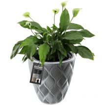 Pot de fleurs Pot de fleurs avec insert couvercle gris 42 cm - Kadax