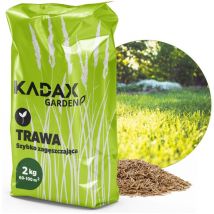 Rasensamen, Grassamen, schnellwachsendes Gras, 2 kg - Kadax