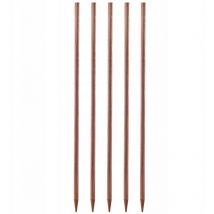 Support pour Plantes à Fleurs Tuteurs Imprégnés 5 pcs - Kadax
