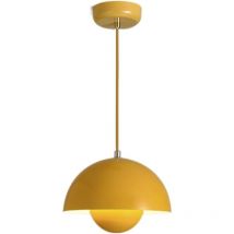 Kaejyiut - Luminaire Suspendu led, Insertion En Forme De Boule Encastré Lumière Modernisme Suspension En Métal Lampe Suspendue Pour Salon Chambre