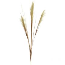 Kaemingk Büschel sand 115 cm Material Polyester Kunstpflanze