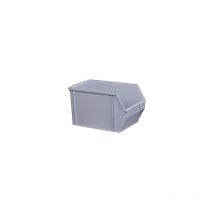 Caja visualizable de poliestireno longitud 350 mm a x h 200 x