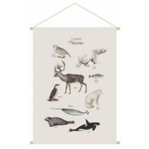 Miliboo - Kakemono enfant tableau en toile suspendue illustration animaux polaires L40 x H60 cm polar