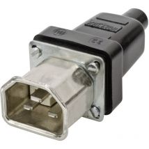 Kalthoff - 444009 Warmgeräte-Steckverbinder 444 Stecker, gerade Gesamtpolzahl: 2 + pe 16 a Schwarz 1 s