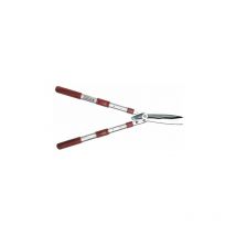 Kamikaze Short Scisso