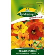 Quedlinburger Kapuzinerkresse Rankende Mischung - Blumensamen