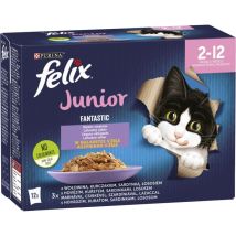 Alimento Para Gatitos Felix Fantastic Junior, Sabores Surtidos En Gelatina, 1,02 Kg (12 X 85 G)