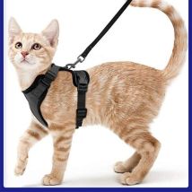 Katzengeschirr, Kleine Hundeleine, Verstellbares Kätzchengeschirr, Schwarz, Xs, Reflektierendes Katzengeschirr-halsband, Atmungsaktive Weste Für 