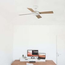 Ventyly - kaze Ventilateur de plafond Ø107cm