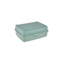 Boîte fraîcheur avec fermeture à clic, 17 x 13 x 7 cm, 1 l, luca midi, vert nordique 1069331500000 - Keeeper