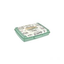 Boîte pratique pour protège-dents/nez, transparent, 17 x 13 x 3,5 cm, vert nordique 1069431528200 - Keeeper