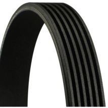 Keilriemen 6PK1725 1725mm 6 Rippen CONTITECH