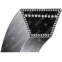 Keilriemenabschnitt 3L - Z-Typ 18 Zoll für sandrigarden Motorhacken Maori kompatibel - 009752