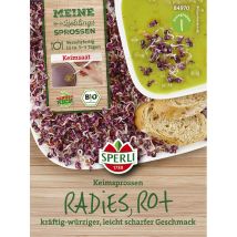 Bio Keimsprossen-saat Radies Rot Gemüsesamen - Sperli
