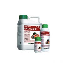 Stimuliert den RaÐz Alraigard, 1 Liter Behlter - Kenogard