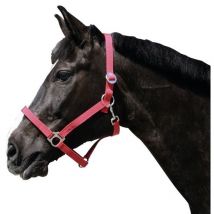 Kerbl - Cabezada Clásica Caballo Nylon, Rojo, Talla 0