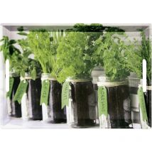 Kesper Serviertablett 'Herbs' – 4,5 cm hoch – 35 cm breit – 50 cm lang – Spülmaschinenfest