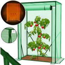 Kesser - Premium invernadero de tomate invernadero de película invernadero pequeño casa de tomate invernadero con puerta enrollable marco frío verde