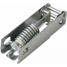 Ersatzteil - Scharnier (mit Feder) - - ZANUSSI, AEG, PROLINE, BLUESKY, FAURE, LIEBHERR, CURTISS, ARTHUR MARTIN ELECTROLUX, DOMEOS, ELECTROLUX