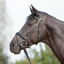 Kieffer Trensenzaum Ultrasoft - Schwarz - Warmblut