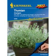 Thymian Orangelo Pillensaat Gemüsesamen - Kiepenkerl