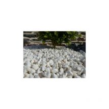 Classgarden - weiß glänzender Kies 8-12 - vrac Big-Bag - 1000 kg