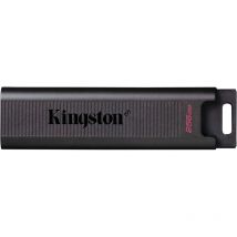 KINGSTON USB-Stick DT-Max 256GB