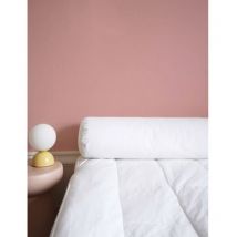 Toison D'Or - Weißes Nackenstützkissen - Festen Komfort - Pollux - 140 Cm