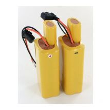 Exalium Premium - Kit 2 x Batteries 12V 6Ah pour Monte Escalier Bison 50 BD50