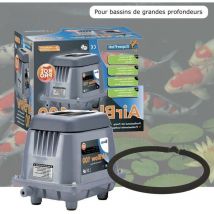 Kit Aérateur Bulleur Bassin Profond 3000 l/h + Diffuseur 35 cm. Pompe à air bassin avec accessoires